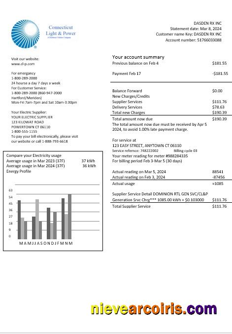 USA Connecticut Light & Power electricity business utility bill